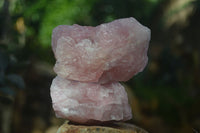 Natural Pink Rose Quartz Cobbed Specimens x 12 From Namibia