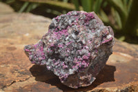 Natural Salrose Cobaltion Dolomite Specimen x 1 From Kakanda, Congo - TopRock