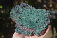 Natural Drusy Coated Ball Malachite On Dolomite Specimen  x 1 From Likasi, Congo