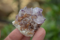 Natural Mixed Selection Of Spirit Quartz Clusters  x 20 From Boekenhouthoek, South Africa - TopRock