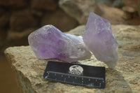 Natural Jacaranda Amethyst Crystals x 6 From Mumbwe, Zambia