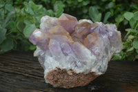 Natural Jacaranda Amethyst Cluster x 1 From Mumbwa, Zambia - TopRock