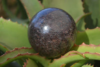 Polished Pyrope Red Garnet Spheres  x 2 From Madagascar