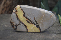 Polished Septerye Free Form Slices   x 12 From Mahajanga, Madagascar - Toprock Gemstones and Minerals 