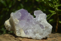 Natural Jacaranda Amethyst Clusters x 2 From Mumbwa, Zambia - TopRock