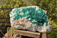 Natural Classic XXL Dioptase Museum Specimen x 1 From Tantara, Congo - TopRock