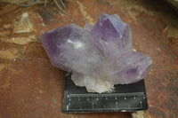 Natural Jacaranda Amethyst Clusters  x 3 From Mumbwa, Zambia - Toprock Gemstones and Minerals 