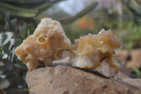 Natural Limonite Quartz Clusters x 12 From Solwezi, Zambia