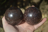 Polished Pyrope Red Garnet Spheres  x 2 From Madagascar