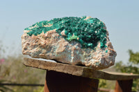 Natural Classic XXL Dioptase Museum Specimen x 1 From Tantara, Congo - TopRock