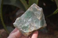 Natural Rough Jade Cobbed Specimens x 28 From Swaziland