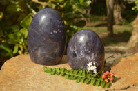 Polished Purple Lepidolite With Pink Tourmaline Standing Free Forms x 2 From Madagascar - TopRock