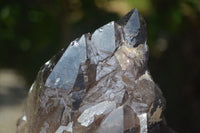 Natural Morion Smokey Quartz Crystals  x 2 From Mulanje, Malawi - Toprock Gemstones and Minerals 