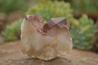 Natural Red Hematoid Quartz Specimens x 12 From Karoi, Zimbabwe - TopRock