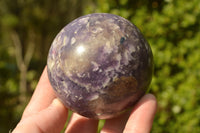 Polished Dark Purple Lepidolite Spheres  x 6 From Madagascar - TopRock