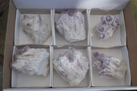 Natural Sugar Amethyst Clusters  x 6 From Solwezi, Zambia