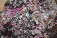 Natural Salrose Cobaltion Dolomite Specimen x 1 From Kakanda, Congo - TopRock