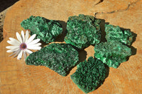 Natural Chatoyant Silky Malachite Specimens x 6 From Kasompe, Congo - TopRock