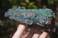 Natural Drusy Coated Ball Malachite On Dolomite Specimen  x 1 From Likasi, Congo