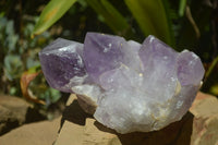 Natural Jacaranda Amethyst Clusters x 2 From Mumbwa, Zambia - TopRock