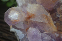 Natural Jacaranda Amethyst Cluster x 1 From Mumbwa, Zambia - TopRock