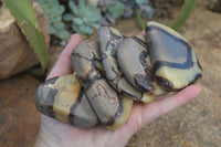 Polished Septerye Free Form Slices   x 12 From Mahajanga, Madagascar - Toprock Gemstones and Minerals 