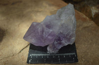 Natural Jacaranda Amethyst Clusters  x 3 From Mumbwa, Zambia - Toprock Gemstones and Minerals 