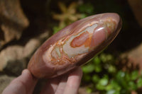 Polished Polychrome Jasper Standing Free Forms  x 3 From Madagascar