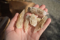 Natural Drusy Quartz Coated Calcite Crystals  x 20 From Alberts Mountain, Lesotho - Toprock Gemstones and Minerals 