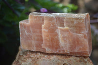 Natural New Sunset Orange Calcite Specimens  x 3 From Spitzkop, Namibia