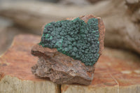 Natural Micro Botryoidal Crystalline Malachite Specimens  x 19 From Tenke Fungurume, Congo - TopRock