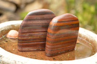 Polished Banded Tiger Iron / Muggle Stone Standing Free Forms  x 3 From Northern Cape, South Africa - TopRock