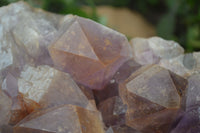 Natural Jacaranda Amethyst Cluster x 1 From Mumbwa, Zambia - TopRock