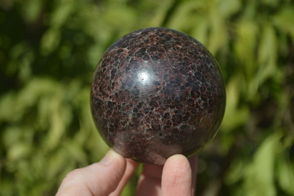 Polished Pyrope Red Garnet Spheres  x 2 From Madagascar