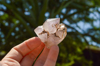 Polished Stunning Selection Of Skeletal Smokey Amethyst Quartz Crystals  x 12 From Akansobe, Madagascar - TopRock