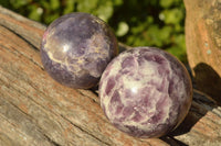 Polished Dark Purple Lepidolite Spheres  x 6 From Madagascar - TopRock