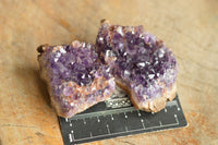 Natural Amethyst & Basalt Geode Specimens  x 24 From Zululand, South Africa - TopRock