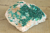 Natural Classic XXL Dioptase Museum Specimen x 1 From Tantara, Congo - TopRock