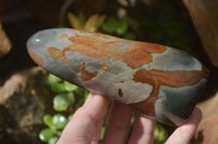 Polished Polychrome Jasper Standing Free Forms  x 3 From Madagascar