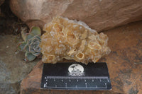 Natural Limonite Quartz Clusters x 12 From Solwezi, Zambia