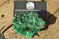 Natural Chatoyant Silky Malachite Specimens x 6 From Kasompe, Congo - TopRock