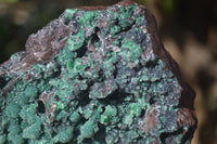 Natural Drusy Coated Ball Malachite On Dolomite Specimen  x 1 From Likasi, Congo