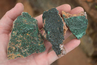 Natural Micro Botryoidal Crystalline Malachite Specimens  x 19 From Tenke Fungurume, Congo - TopRock