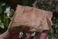 Natural New Sunset Orange Calcite Specimens  x 3 From Spitzkop, Namibia