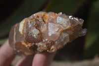 Natural Grey & Red Hematoid Quartz Specimens x 6 From Karoi, Zimbabwe