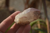 Natural Red Hematoid Quartz Specimens x 12 From Karoi, Zimbabwe