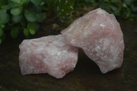 Natural Pink Rose Quartz Cobbed Specimens x 12 From Namibia