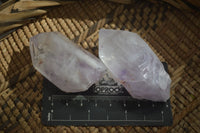 Natural Clear Quartz Crystals With Hints Of Amethyst  x 12 From Brandberg, Namibia - Toprock Gemstones and Minerals 