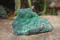 Natural Chatoyant Malachite On Matrix Specimen  x 1 From Congo