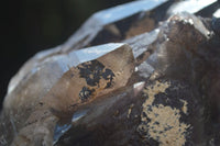 Natural Morion Smokey Quartz Crystals  x 2 From Mulanje, Malawi - Toprock Gemstones and Minerals 